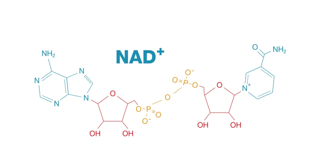 nad+
