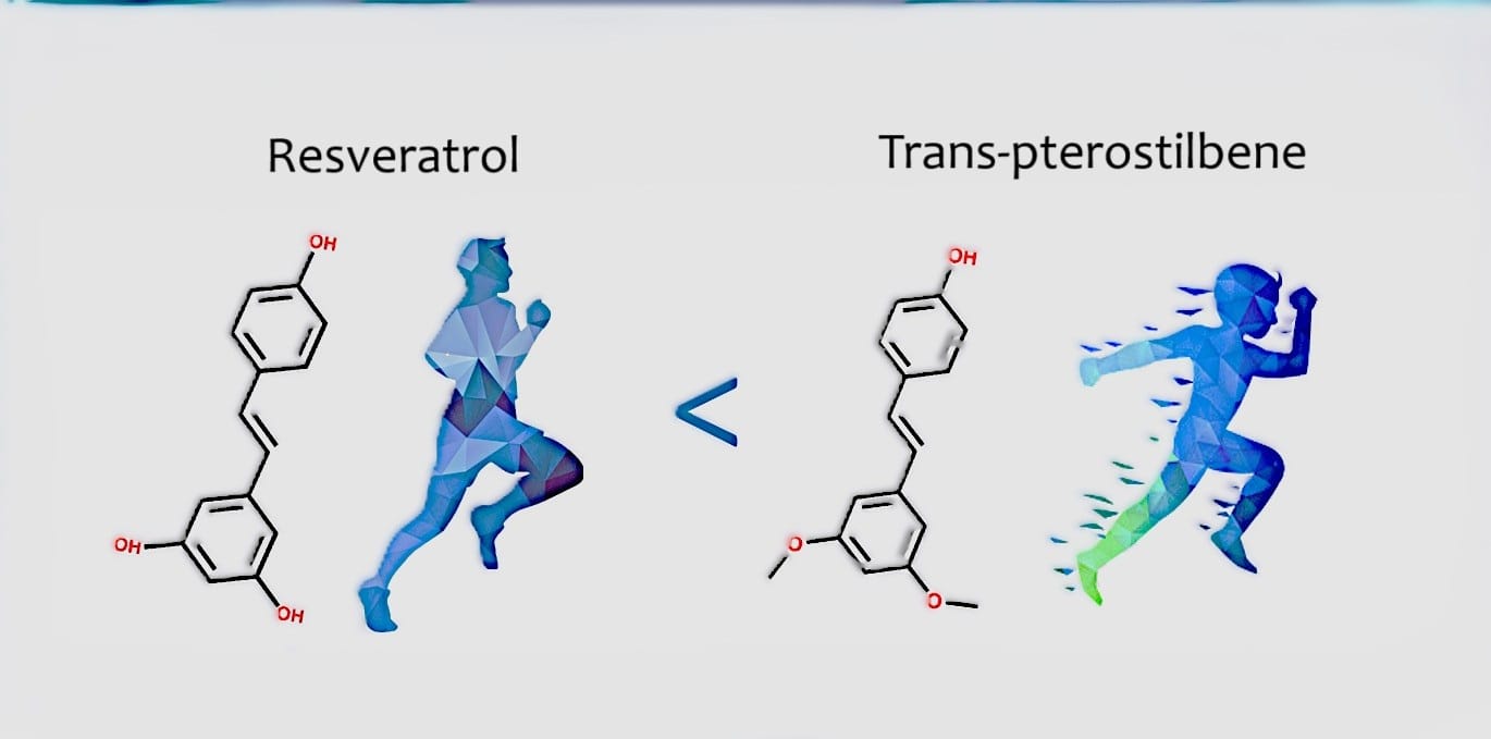 Trans-pterostilbene vs Resveratrol